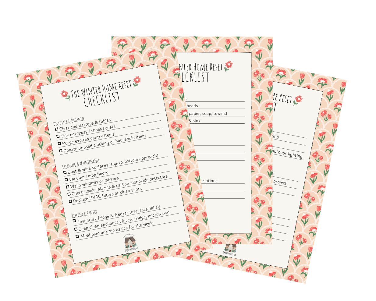 The Winter Home Reset email freebie